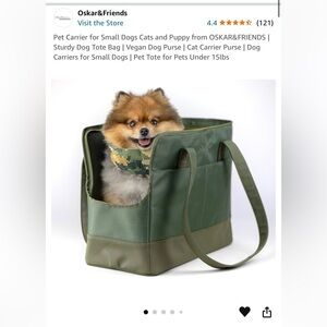 FRIENDS Green Dog Carrier Tote
